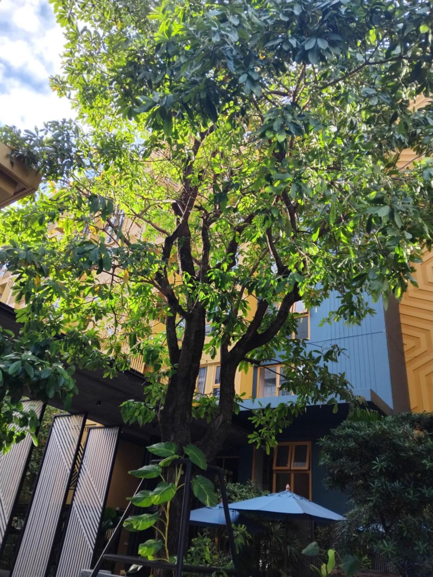 Apartamento Brissluxe At Bts Onnut Sukumvit 50 Bangkok Exterior foto
